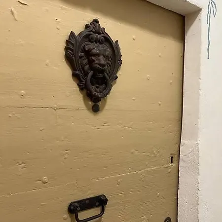 - Le Loft 아파트 봄레미모사